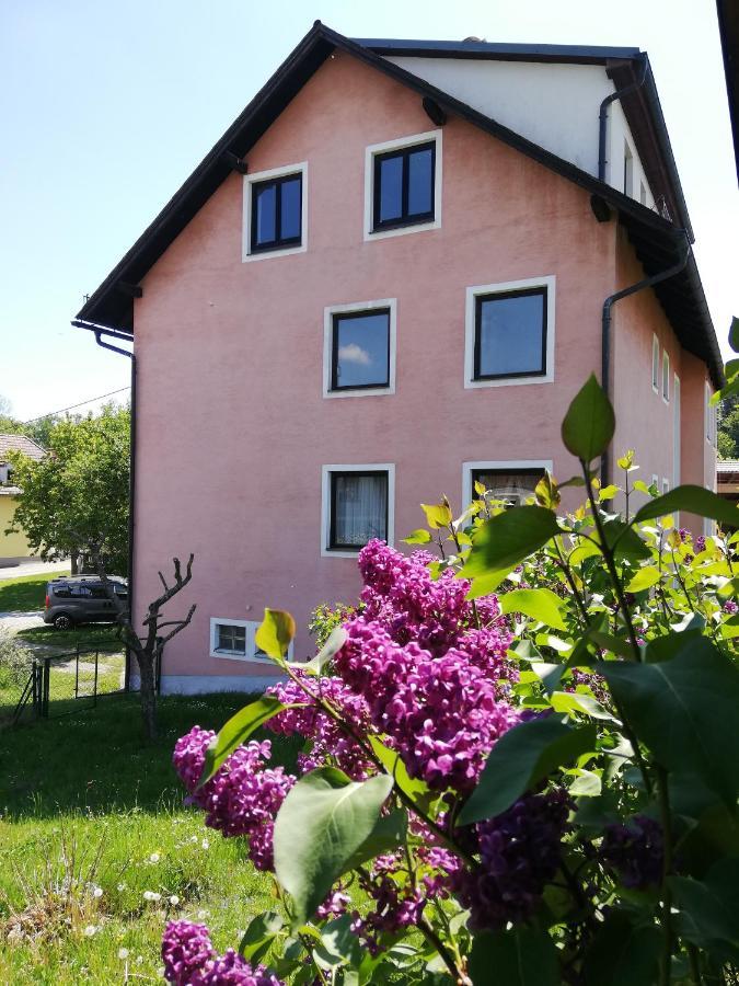 Feriendomizil Wachau Apartment Habruck Luaran gambar