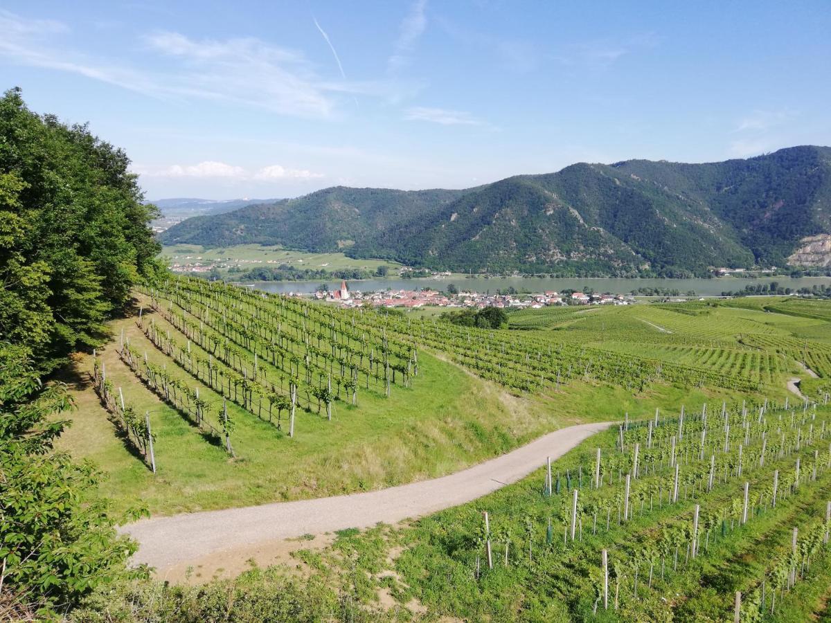 Feriendomizil Wachau Apartment Habruck Luaran gambar