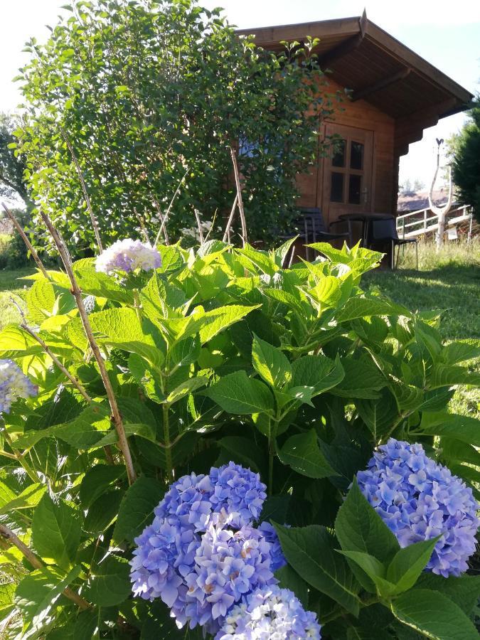 Feriendomizil Wachau Apartment Habruck Luaran gambar